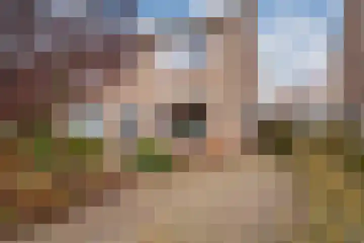 Graaf Diderikstraat 17 Zevenaar thumbnail 9