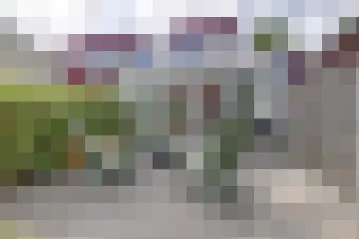 Graaf Diederiklaan 15 Nieuwegein thumbnail 12