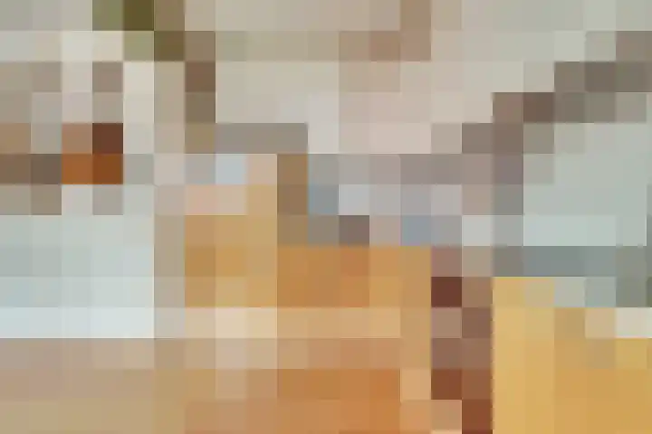 Graaf Diederiklaan 15 Nieuwegein thumbnail 15