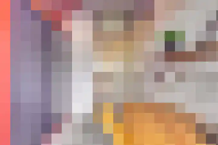 Graaf Diederiklaan 15 Nieuwegein thumbnail 22