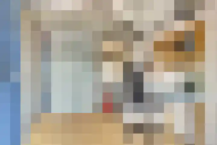 Graaf Diederiklaan 15 Nieuwegein thumbnail 26