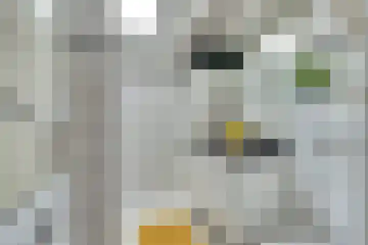 Graaf Diederiklaan 15 Nieuwegein thumbnail 27