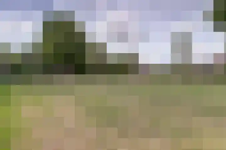Graaf Diederiklaan 15 Nieuwegein thumbnail 30