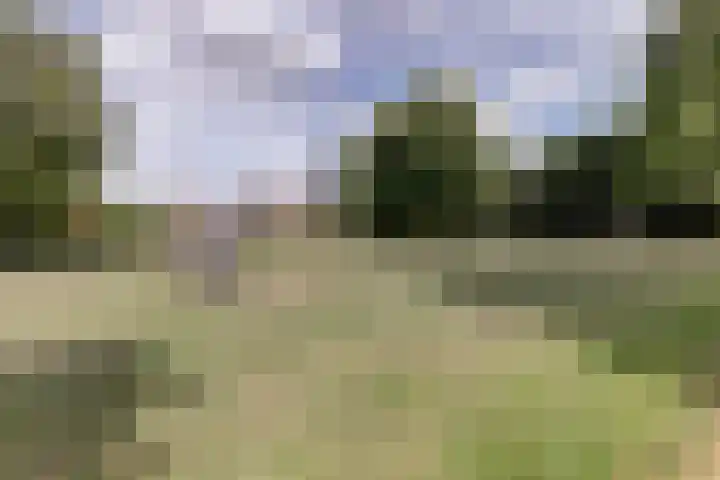 Graaf Diederiklaan 15 Nieuwegein thumbnail 31