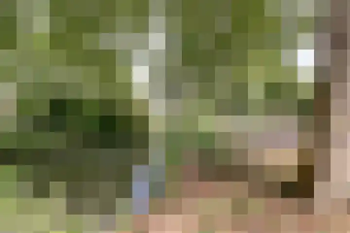 Graaf Diederiklaan 15 Nieuwegein thumbnail 32