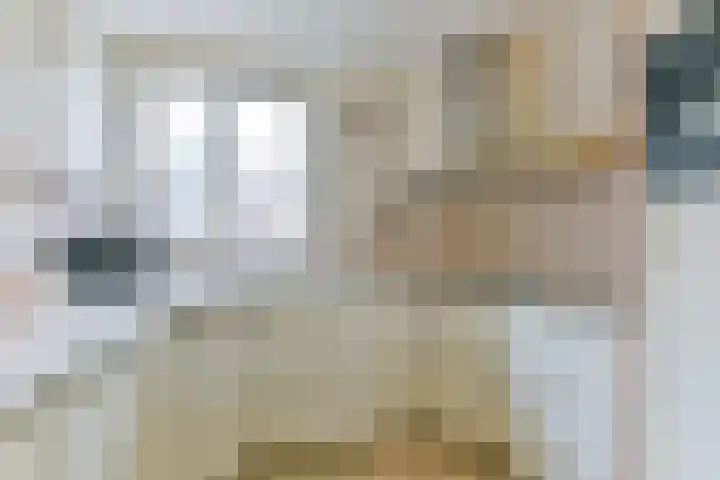 Graaf Diederiklaan 21 Nieuwegein thumbnail 16