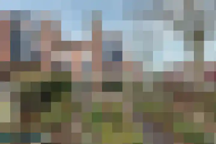 Graaf Diederiklaan 21 Nieuwegein thumbnail 22