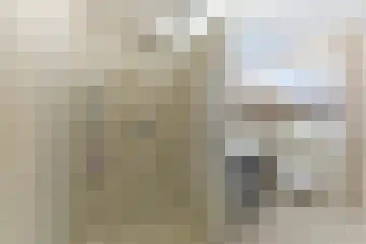 Graaf Diederiklaan 21 Nieuwegein thumbnail 33