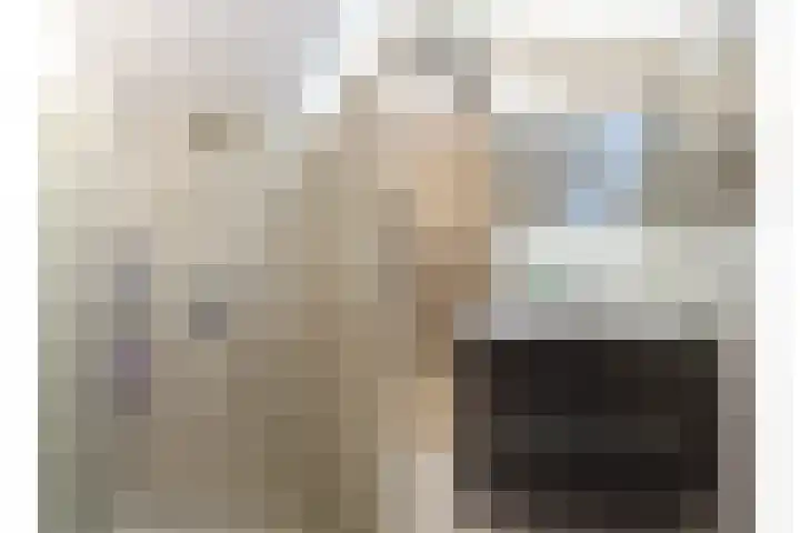 Graaf Diederiklaan 21 Nieuwegein thumbnail 34