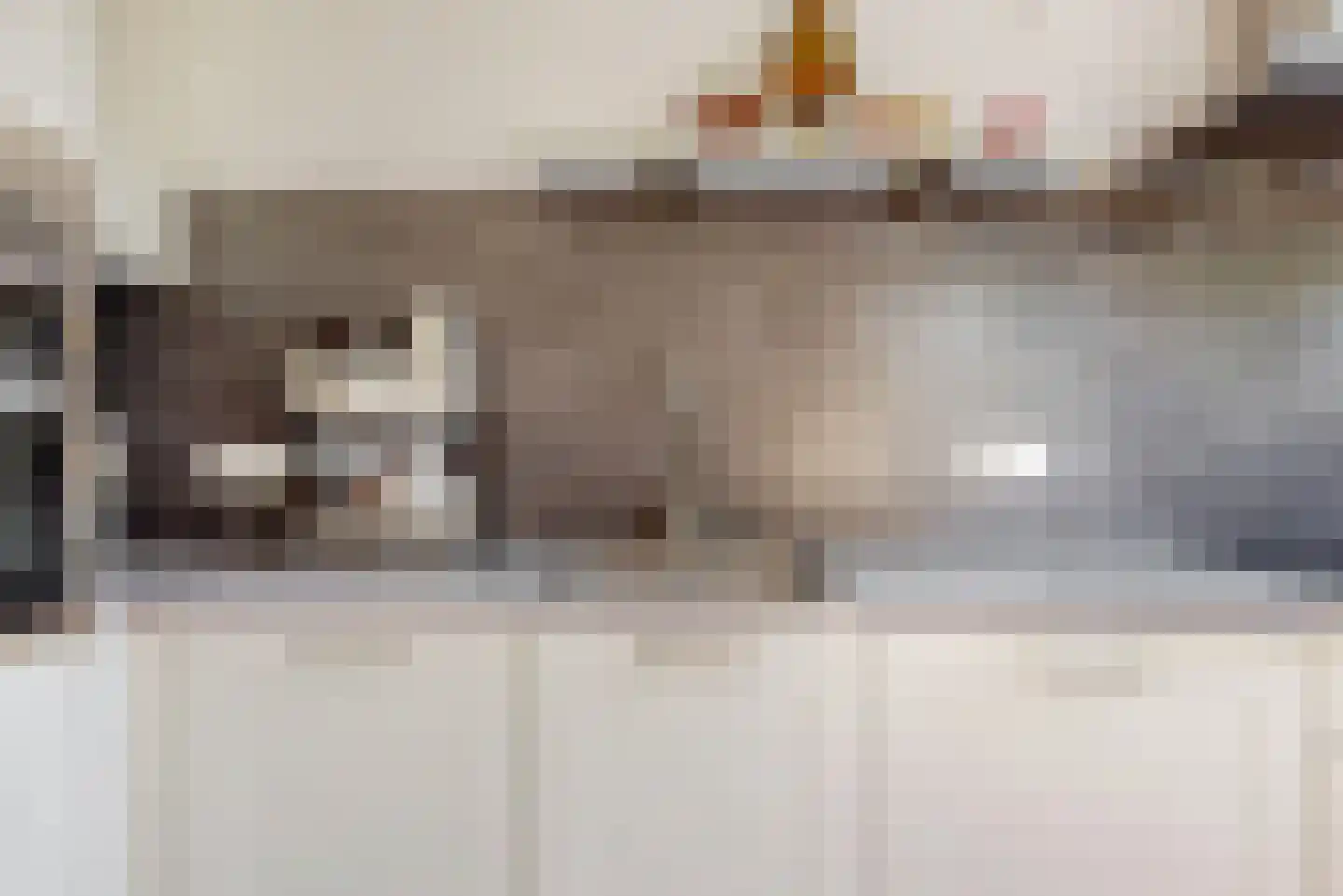 Graaf Diederiklaan 8 Nieuwegein thumbnail 10