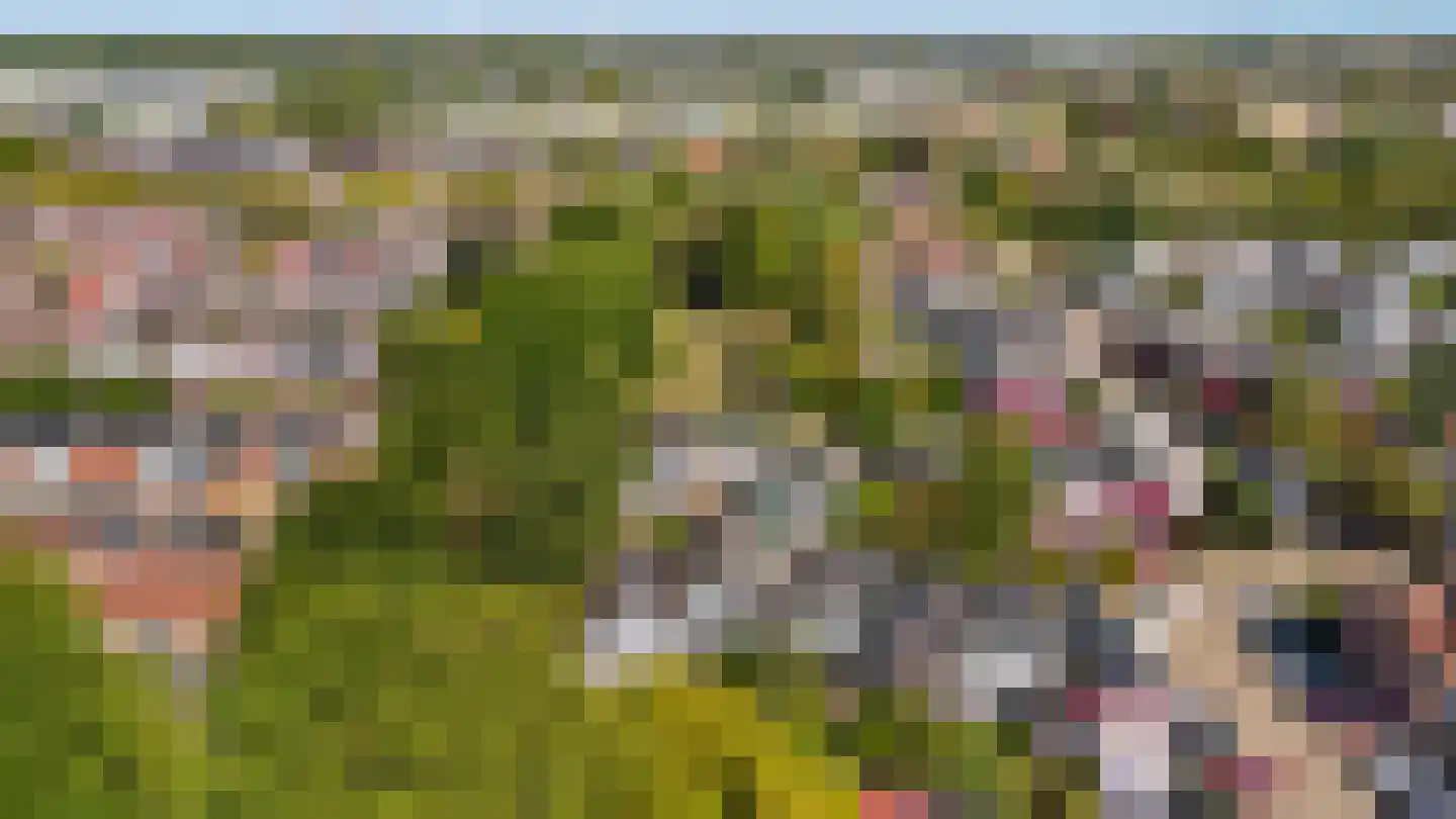 Graaf Diederiklaan 8 Nieuwegein thumbnail 24