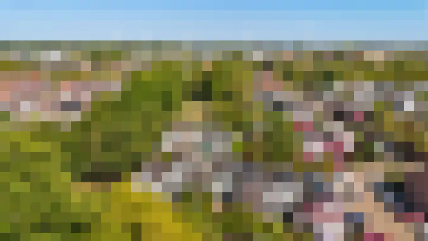 Graaf Diederiklaan 8 Nieuwegein thumbnail 26