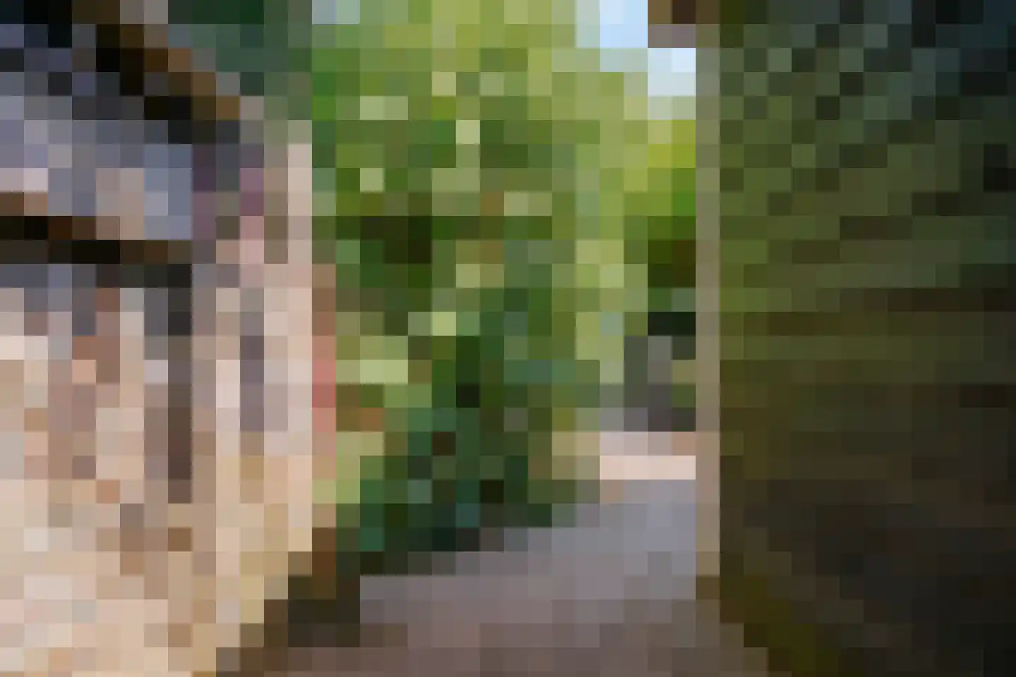 Graaf Diederiklaan 8 Nieuwegein thumbnail 32