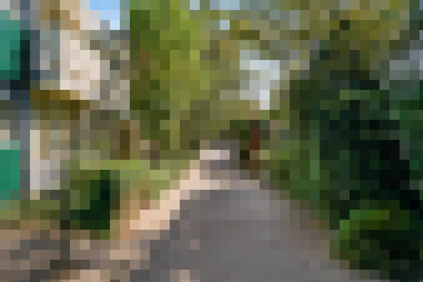Graaf Diederiklaan 8 Nieuwegein thumbnail 42