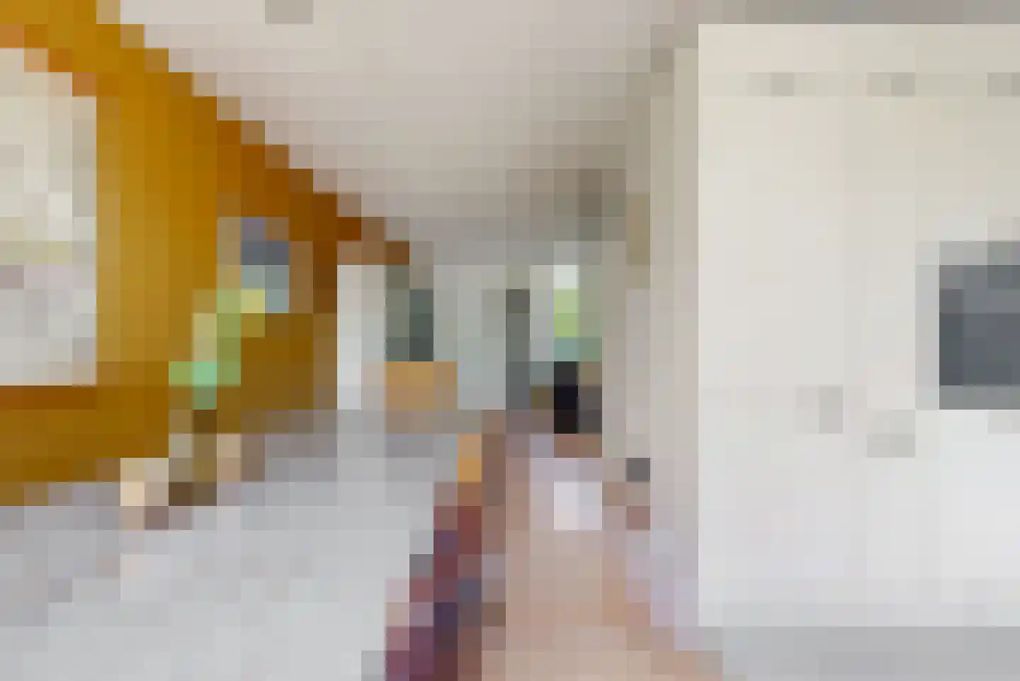 Graaf Diederiklaan 8 Nieuwegein thumbnail 8