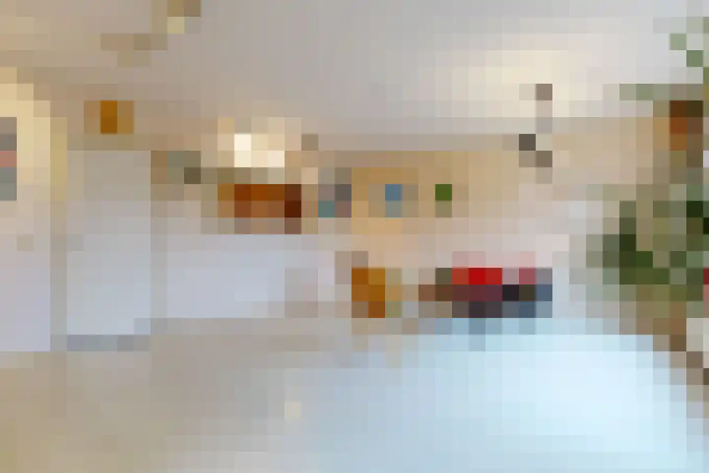 Graaf Dirk II laan 14 Maasland thumbnail 15
