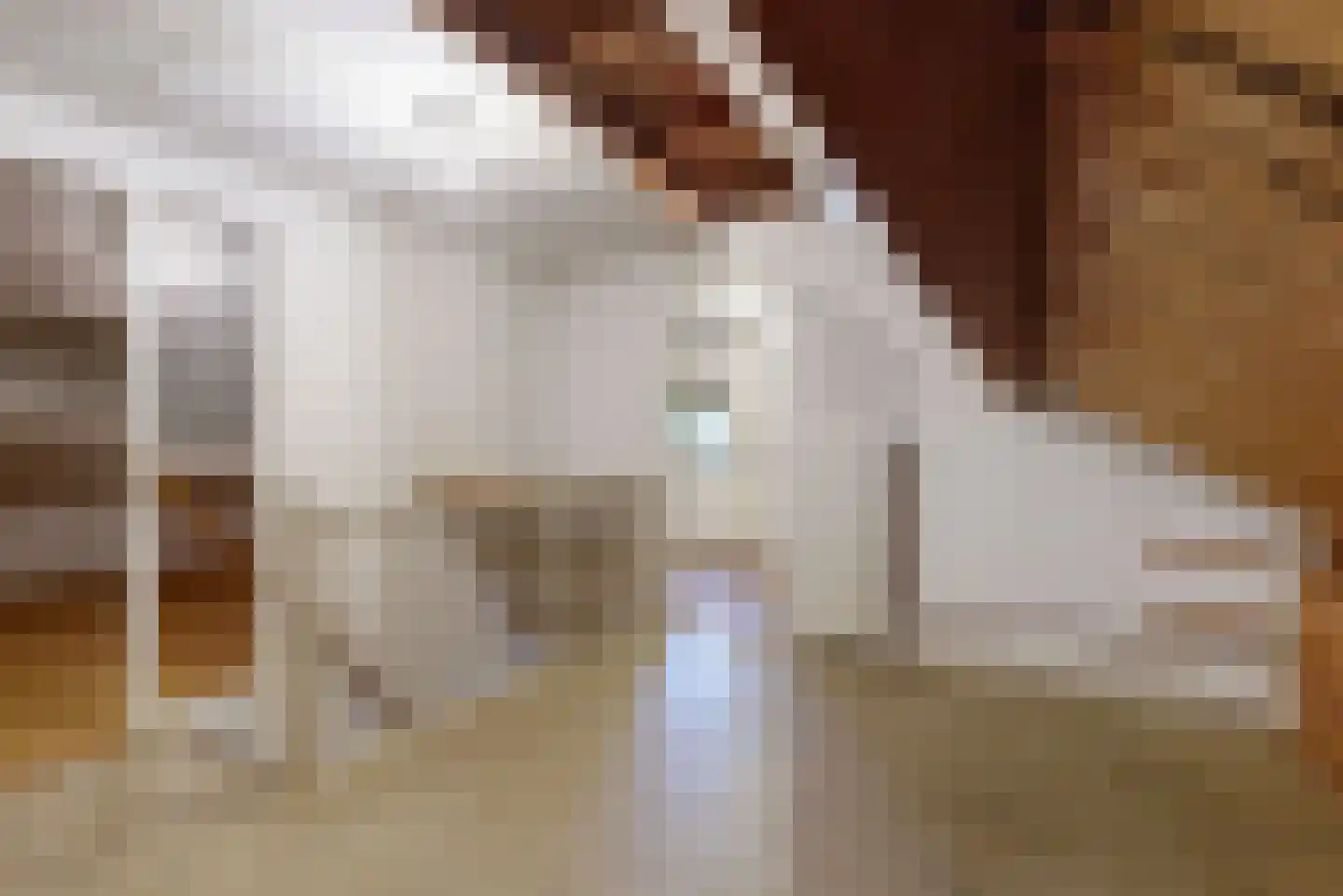 Graaf Dirk II laan 14 Maasland thumbnail 31