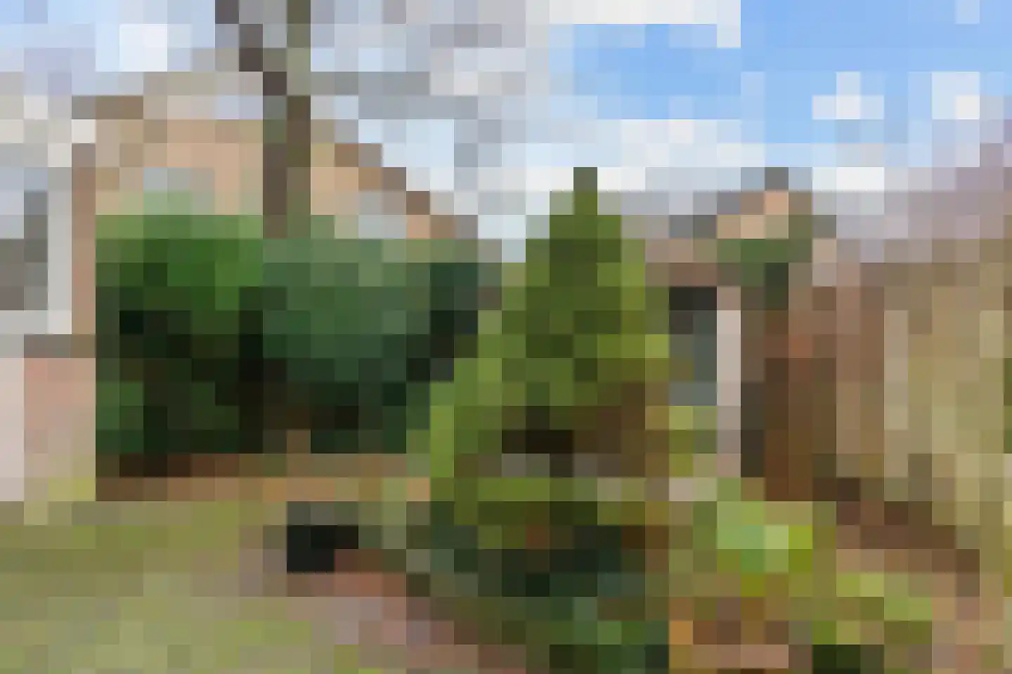 Graaf Dirk II laan 14 Maasland thumbnail 37
