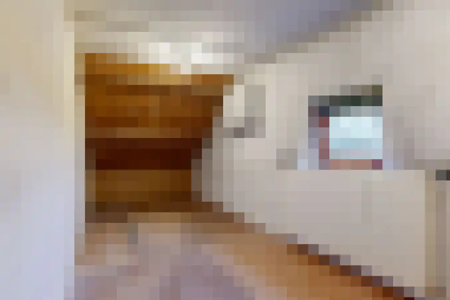 Graaf Dirk II laan 14 Maasland thumbnail 37