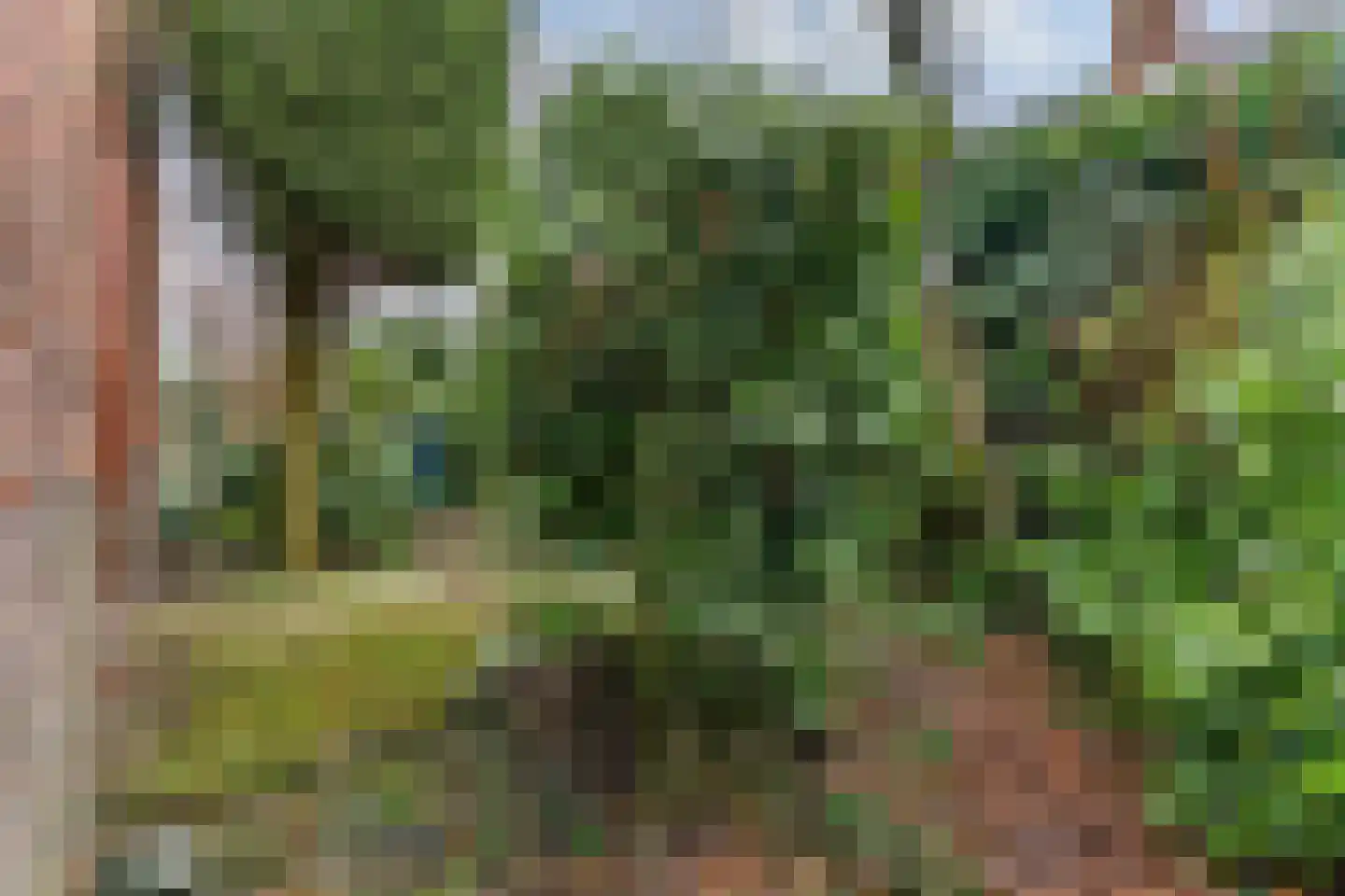 Graaf Dirk II laan 14 Maasland thumbnail 39