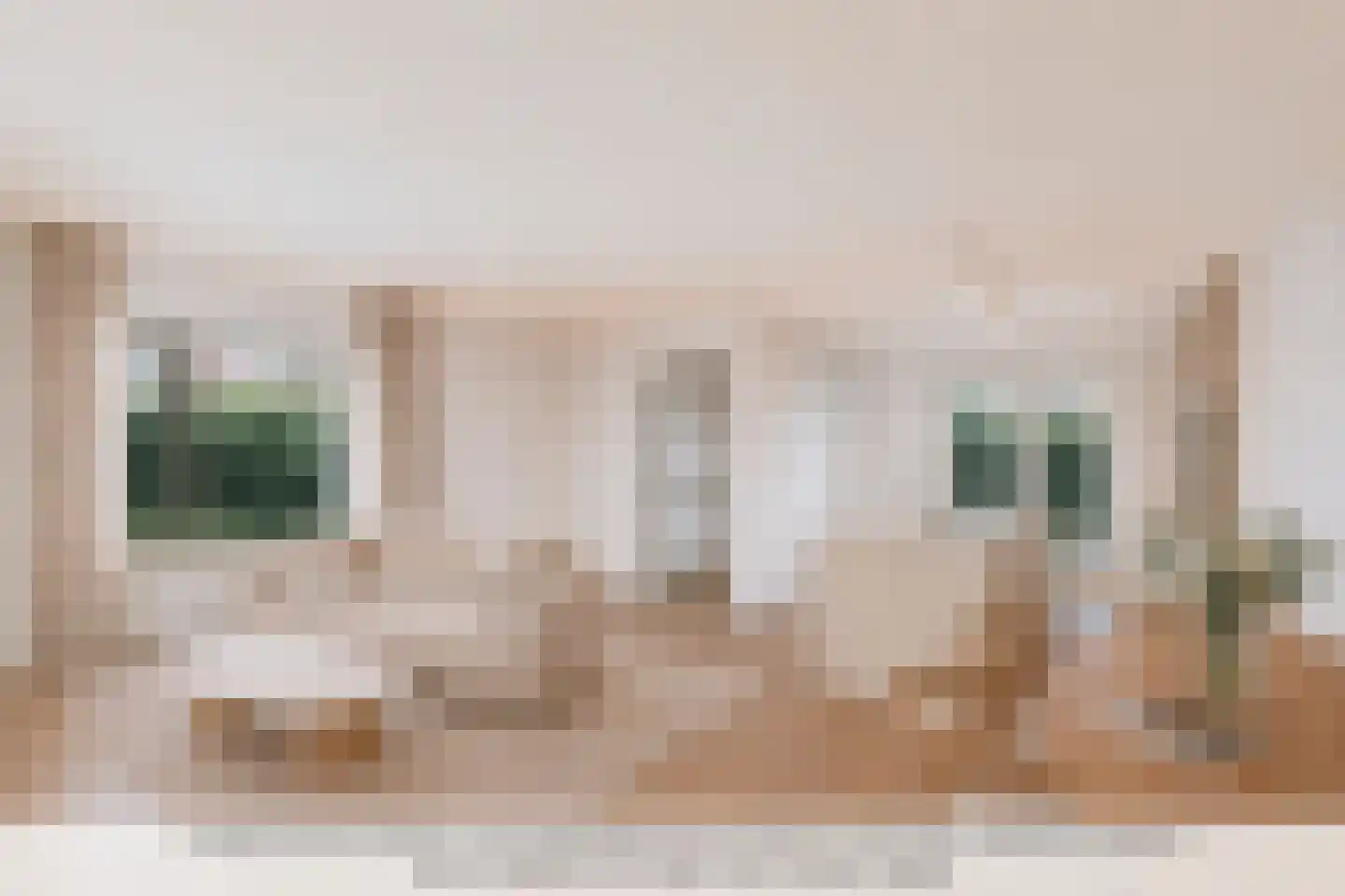Graaf Dirk II laan 14 Maasland thumbnail 4