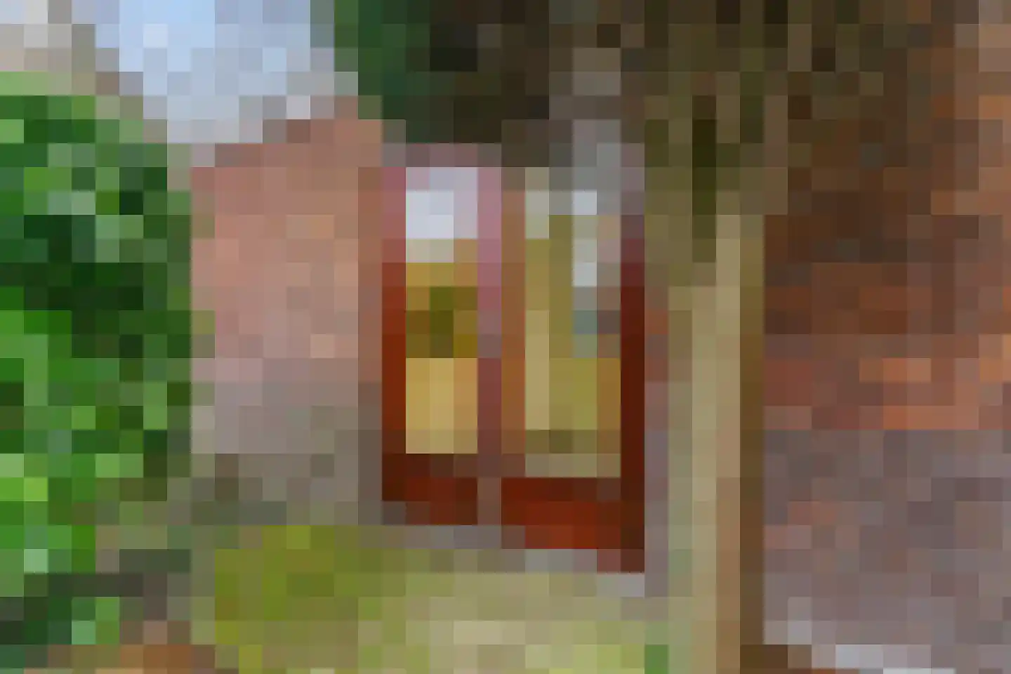 Graaf Dirk II laan 14 Maasland thumbnail 40