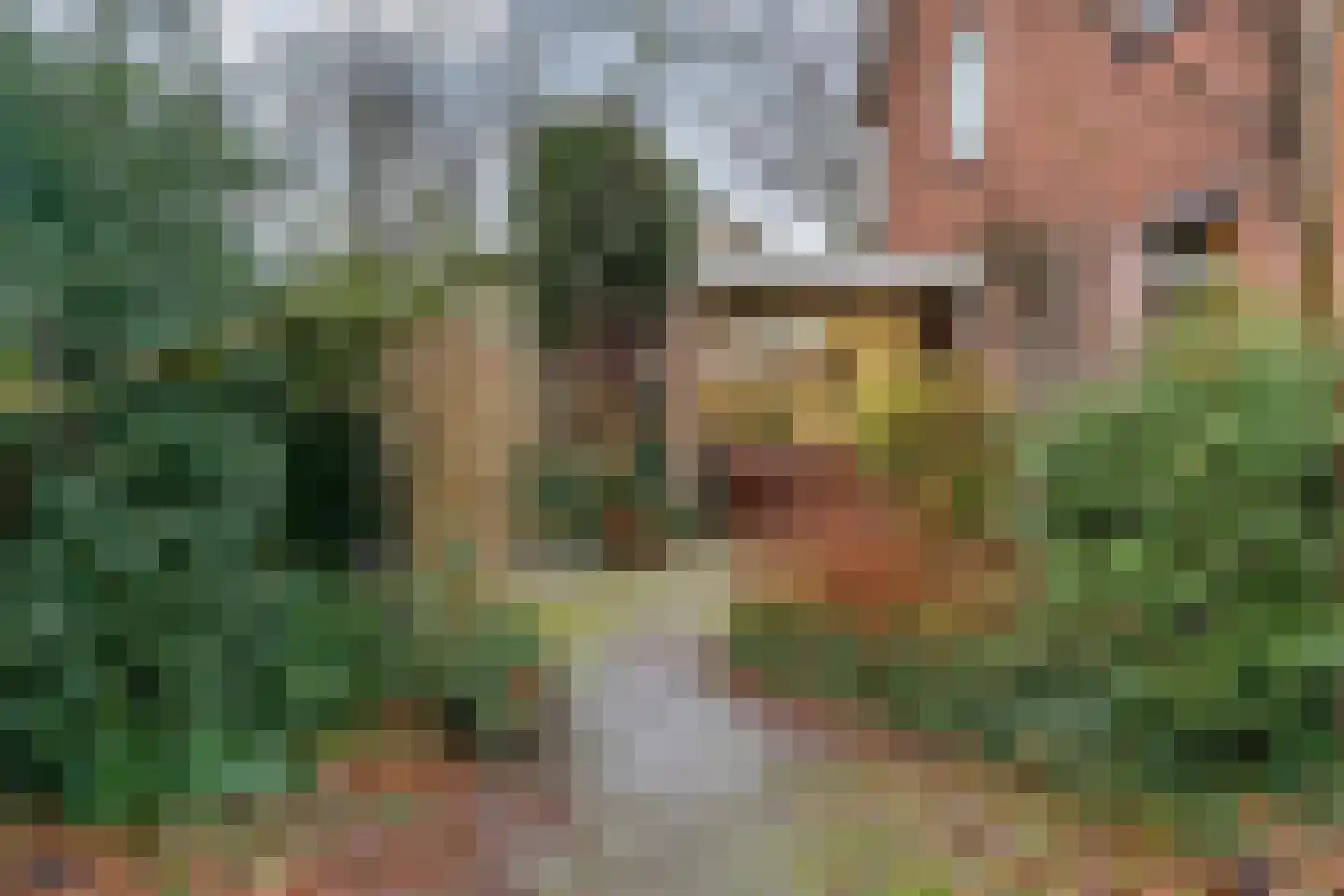 Graaf Dirk II laan 14 Maasland thumbnail 42