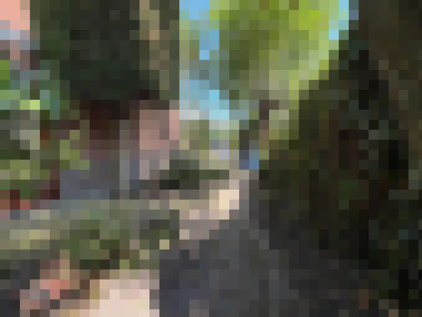 Graaf Dirk II laan 14 Maasland thumbnail 42