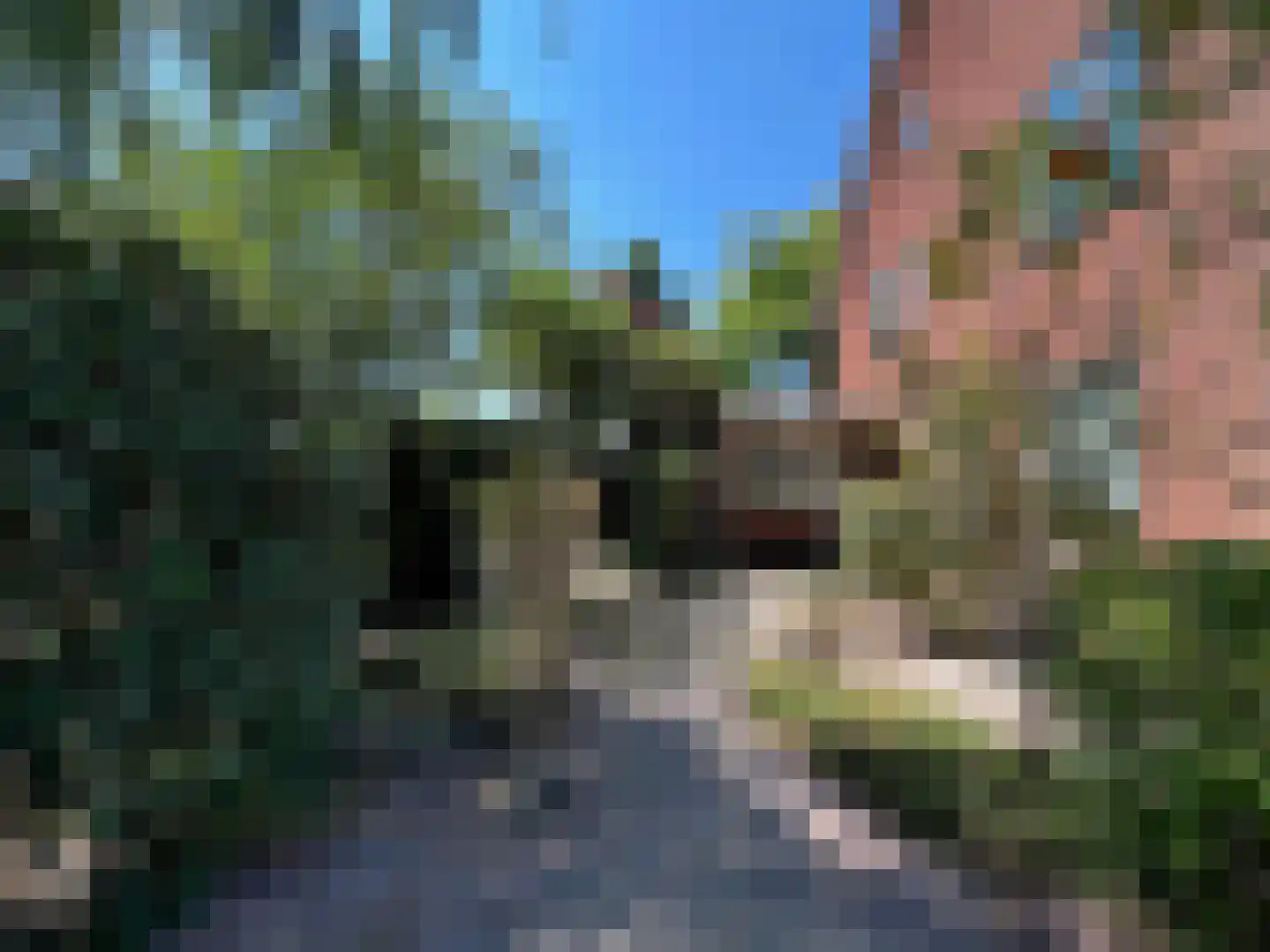 Graaf Dirk II laan 14 Maasland thumbnail 44