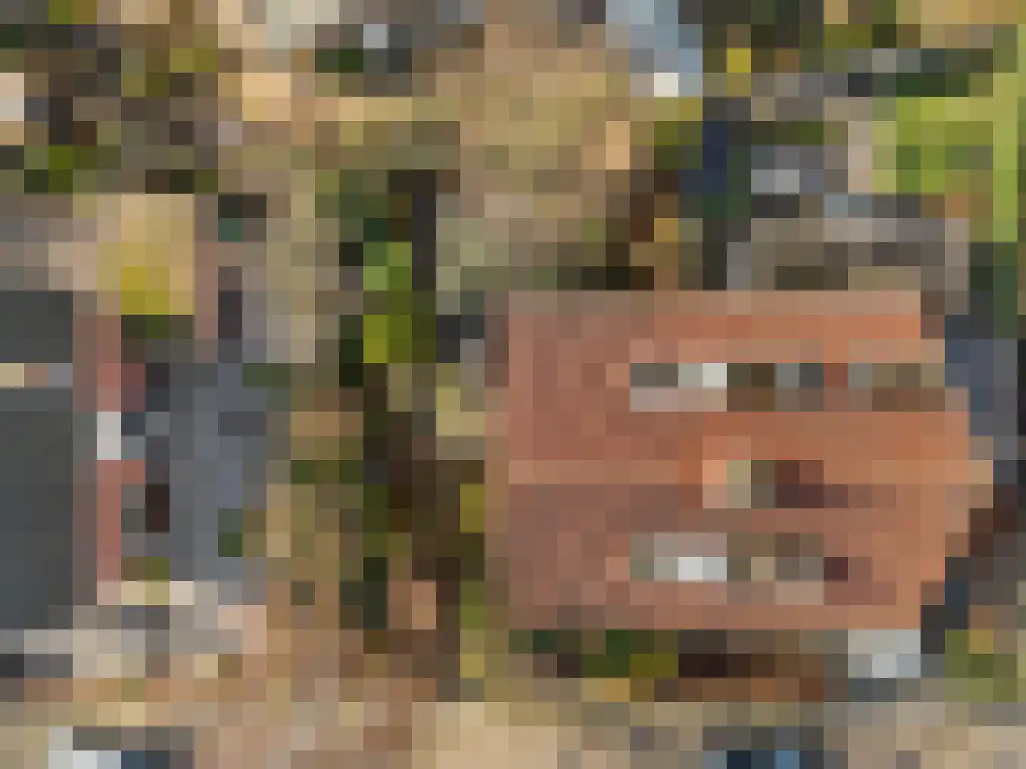 Graaf Dirk II laan 14 Maasland thumbnail 45