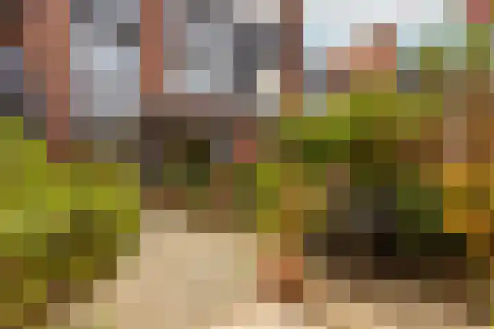 Graaf Dirklaan 29 Nieuwegein thumbnail 16