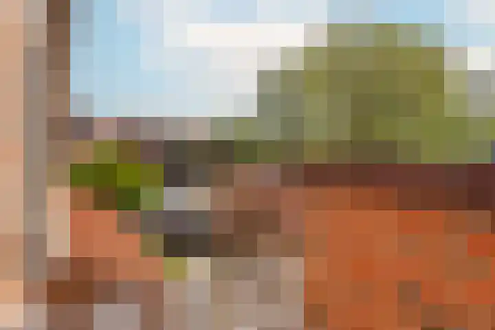 Graaf Dirklaan 29 Nieuwegein thumbnail 32