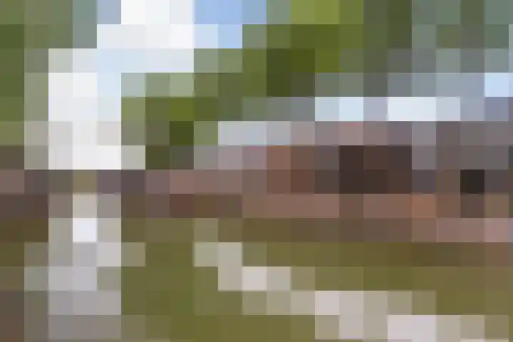 Graaf Dirklaan 29 Nieuwegein thumbnail 45