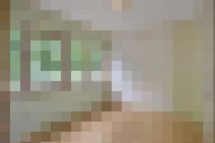 Graaf Dirkstraat 21 Ridderkerk thumbnail 13