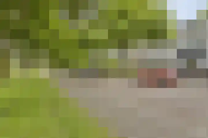 Graaf Dirkstraat 21 Ridderkerk thumbnail 22