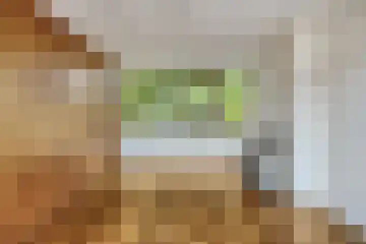 Graaf Dirkstraat 21 Ridderkerk thumbnail 6