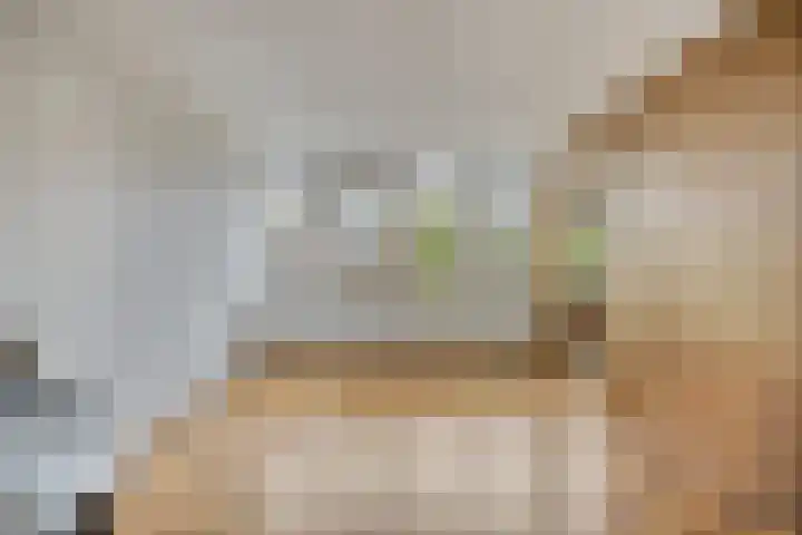 Graaf Dirkstraat 21 Ridderkerk thumbnail 8