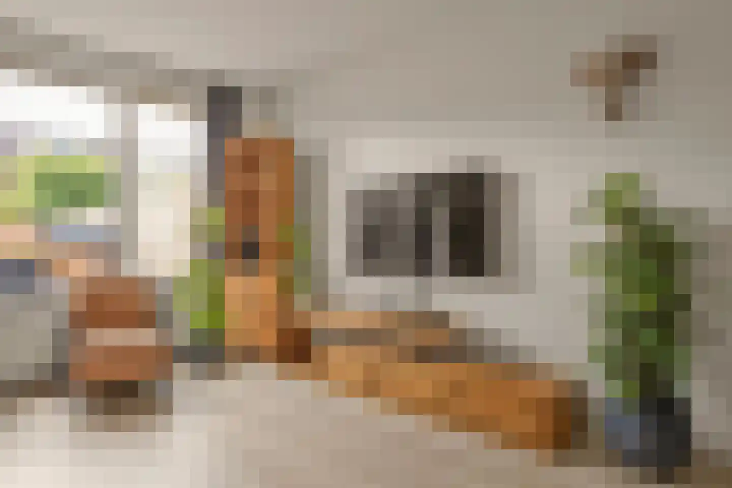 Graaf Dudosingel 20 Nieuwegein thumbnail 12