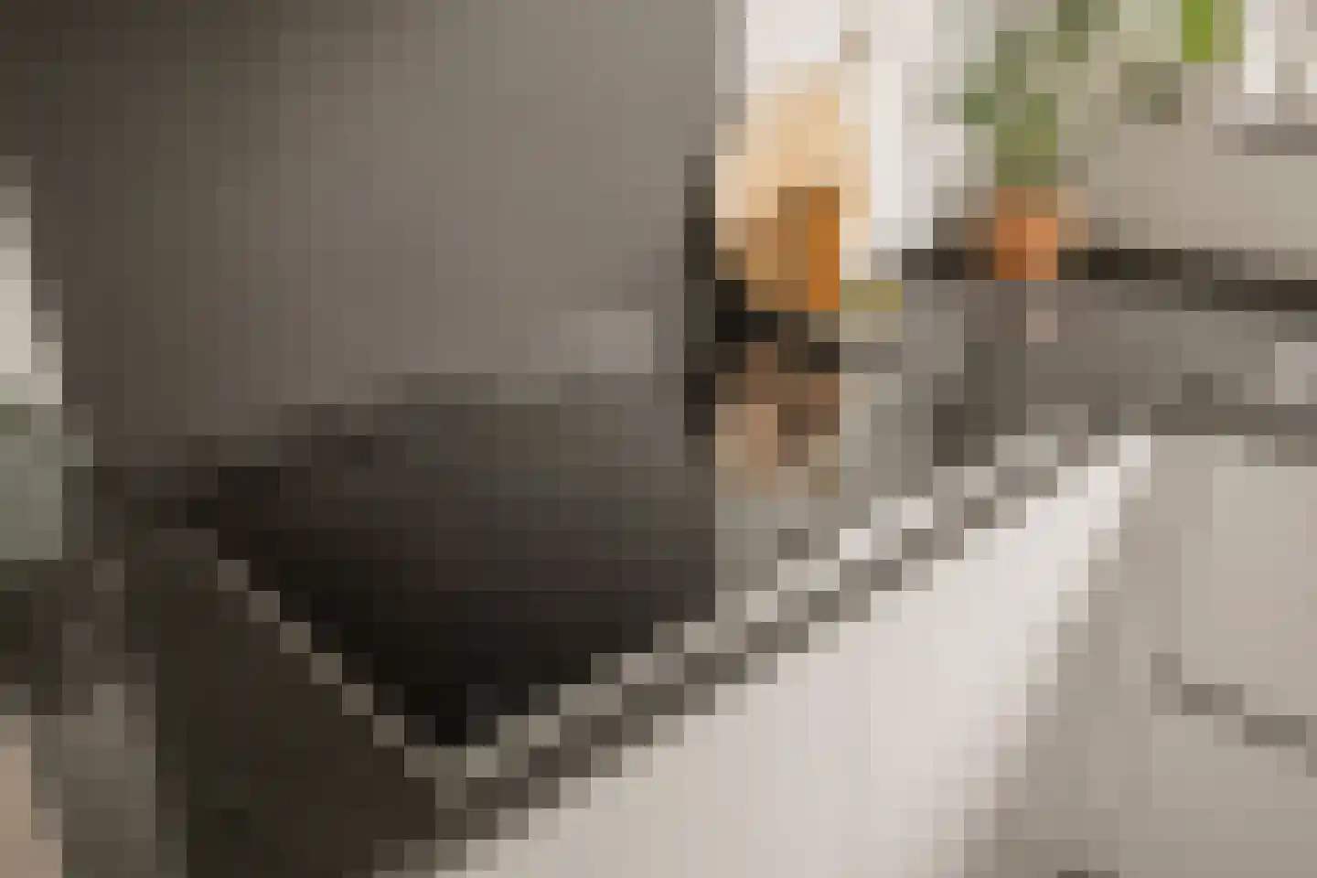 Graaf Dudosingel 20 Nieuwegein thumbnail 18