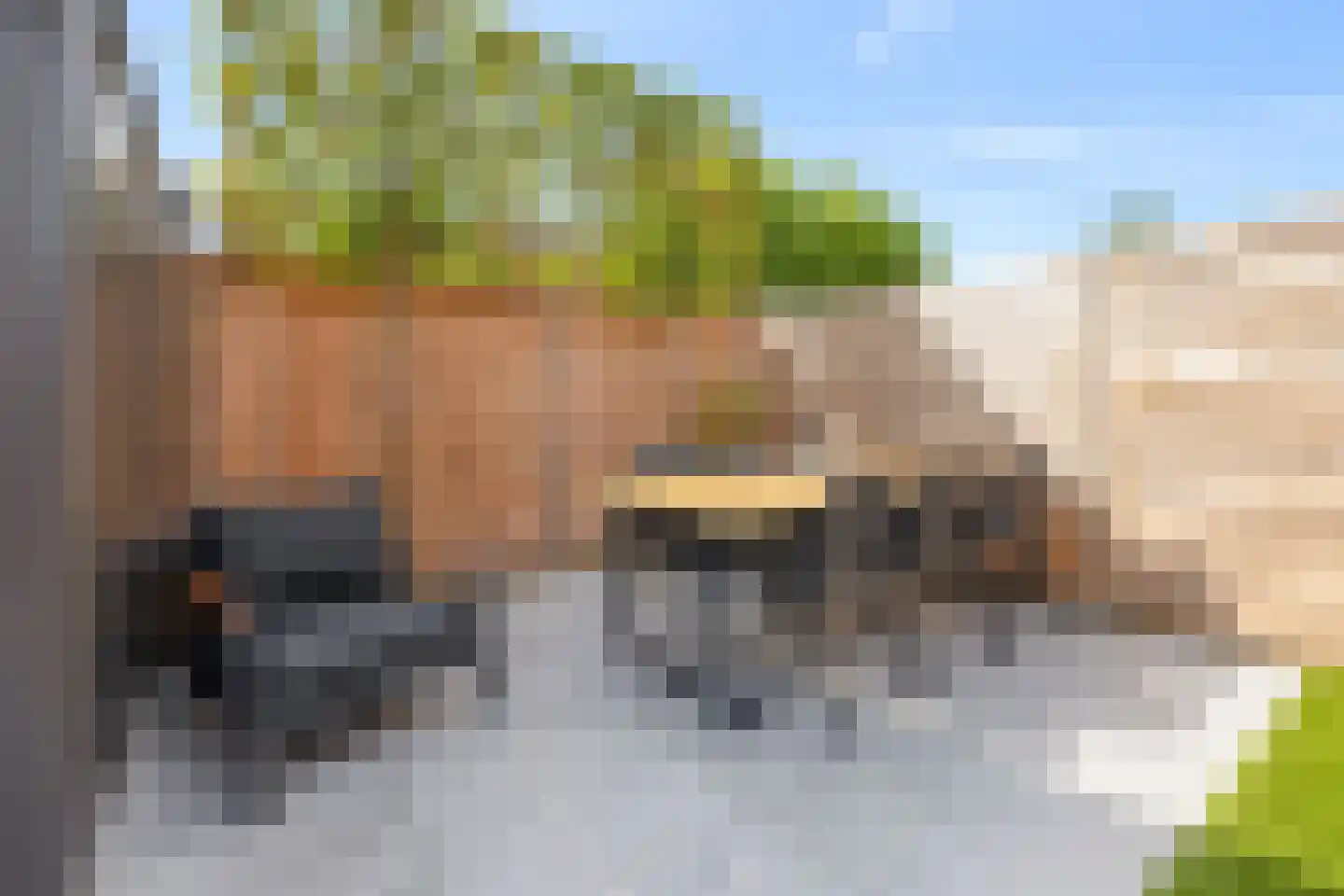 Graaf Dudosingel 20 Nieuwegein thumbnail 21