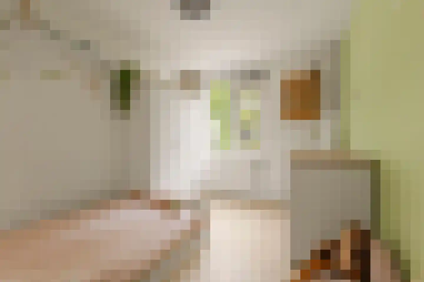 Graaf Dudosingel 20 Nieuwegein thumbnail 30