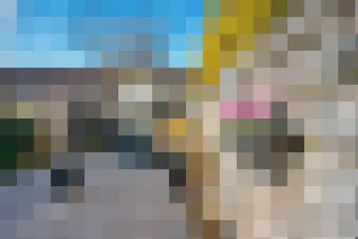 Graaf Dudosingel 3 Nieuwegein thumbnail 27