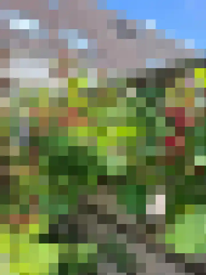 Graaf Dudosingel 3 Nieuwegein thumbnail 31