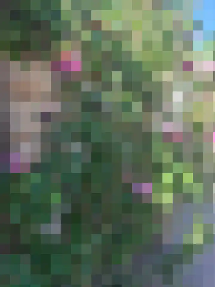 Graaf Dudosingel 3 Nieuwegein thumbnail 32