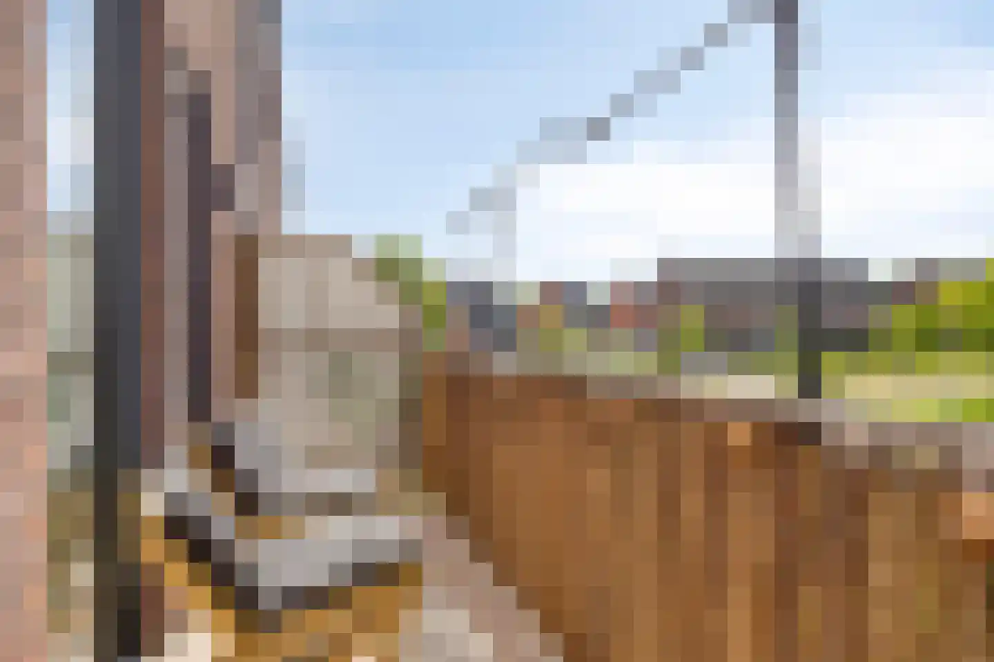 Graaf Edzardstraat 103 Appingedam thumbnail 15
