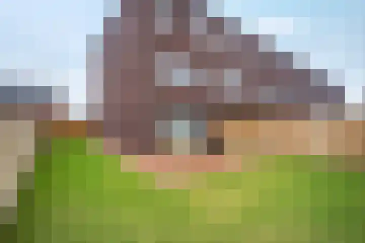 Graaf Edzardstraat 29 Appingedam thumbnail 43