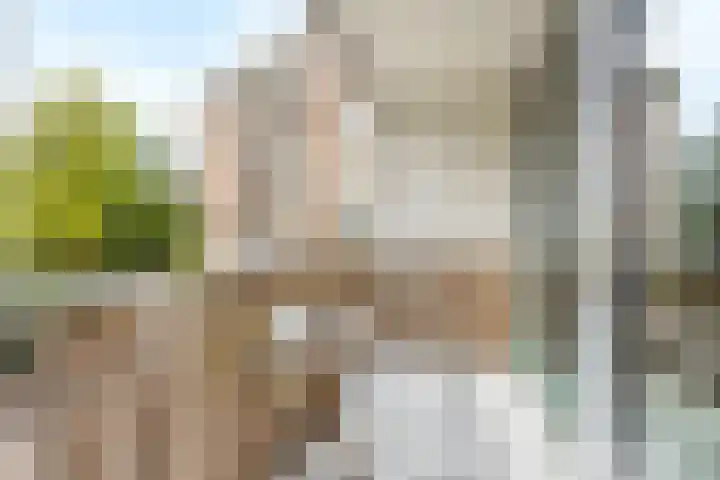 Graaf Engelbertlaan 15 Breda thumbnail 6
