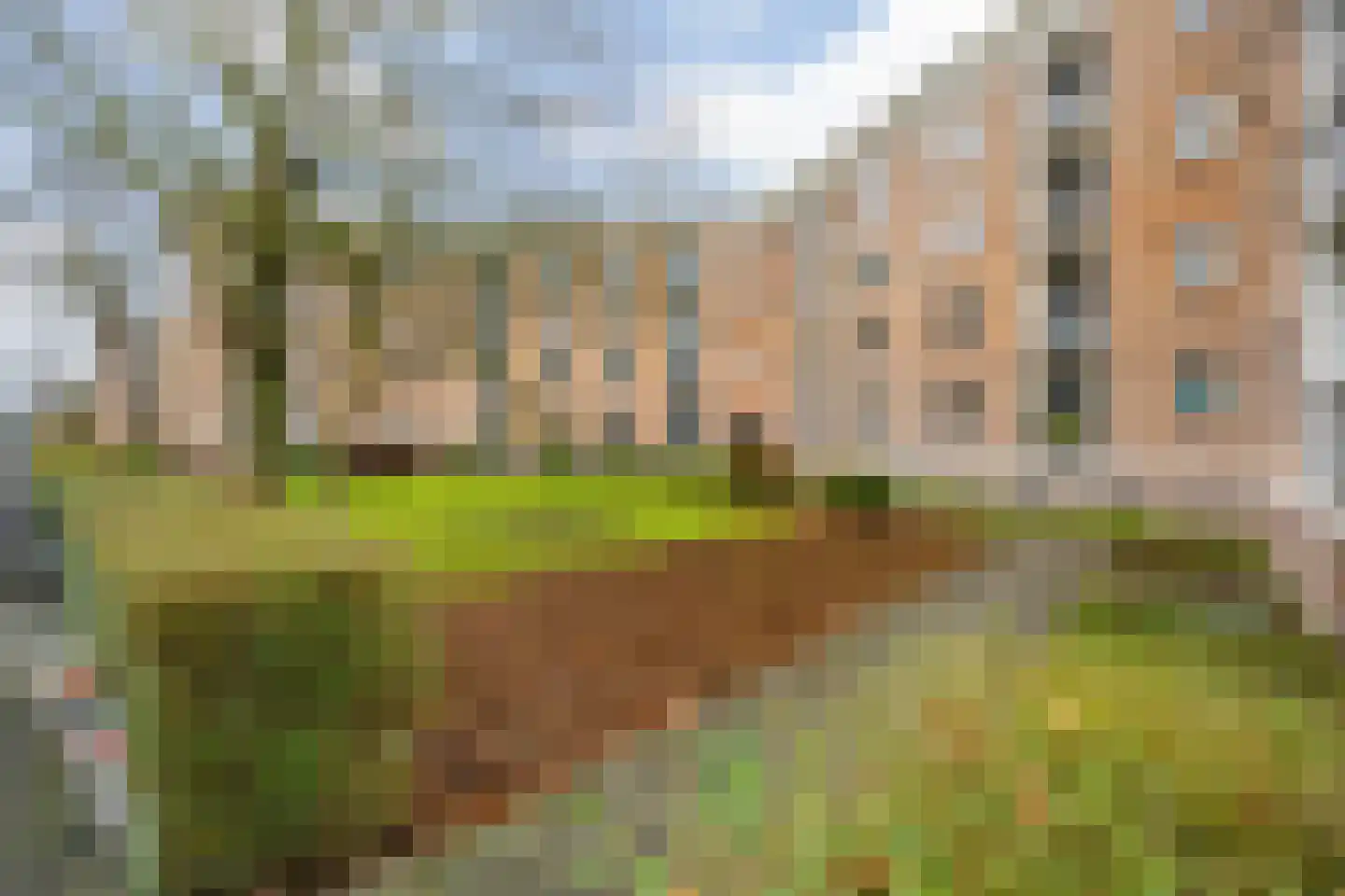 Graaf Engelbertlaan 15 C Breda thumbnail 7
