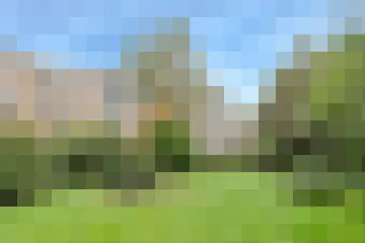 Graaf Engelbertlaan 19 C Breda thumbnail 6