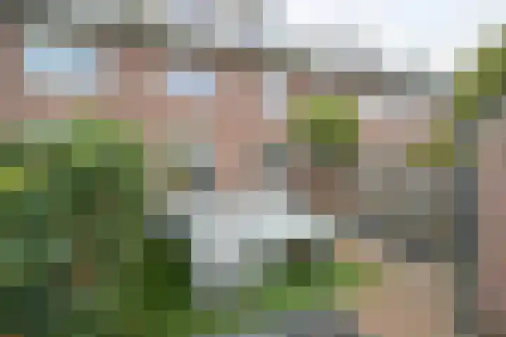Graaf Engelbertlaan 88 Breda thumbnail 22